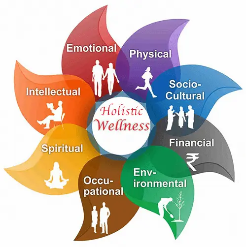 Graphic showing the different aspects of holistic care